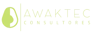 Awaktec.com - ERP Consultores